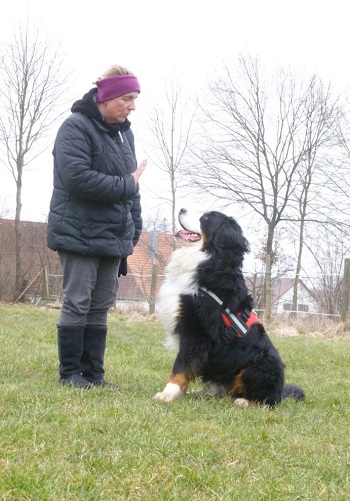 Training mit Rufus